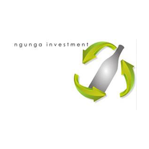 Ngunga Investment