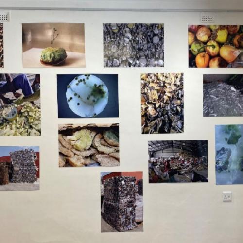 Food Waste by College of the Arts photography students.